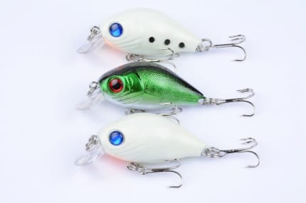 THE ULTIMATE TOPWATER LURE PACK!, Fishing