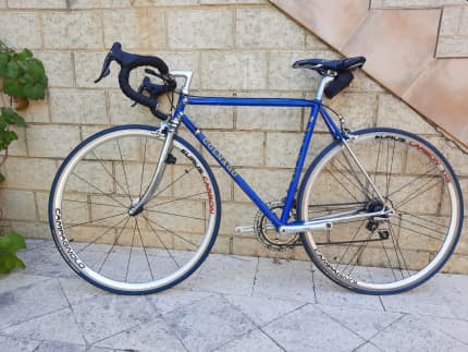 Gumtree colnago cheap