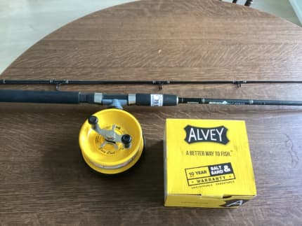 Alvey Surf 60GVCRT Side Cast Reel