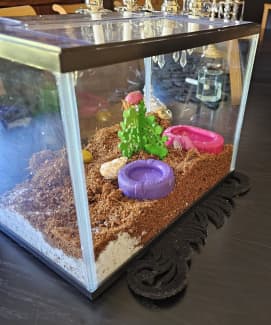 Hermit crab hotsell tank accessories