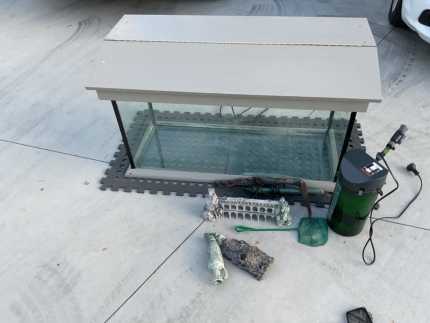 Three foot fish tank with cover, light and Eheim filtration system