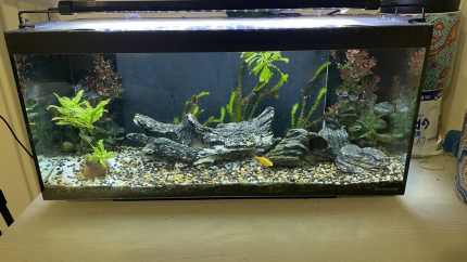 fish tank filter media in Melbourne Region VIC Gumtree