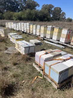 Bee hives nucs 5 frame