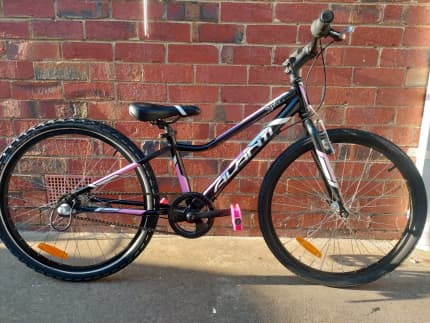 used avanti bikes for sale