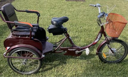 entry level electric bike