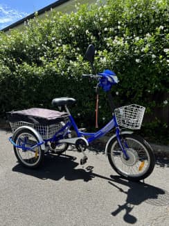 Gumtree best sale electric tricycle