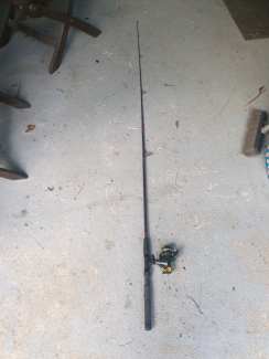 fishing rod and reels in Queensland, Fishing