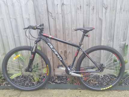 avanti montari 29er price