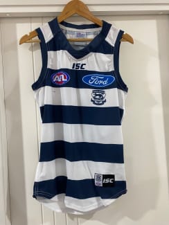 Lot - GEELONG CATS JERSEY, FRAMED, SIGNED 2016 WITH COA