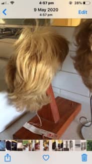 wig wigs in Sunshine Coast Region, QLD  Gumtree Australia Free Local  Classifieds