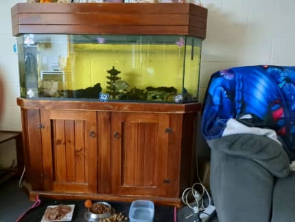 fish tanks in Tasmania, Pets