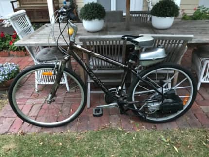rotary motorised push bike