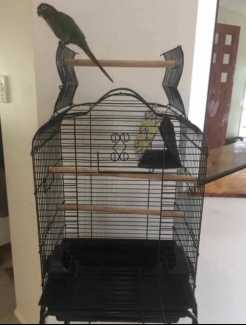 BRAND NEW - open roof cage w/drop down front $80ea trolley $40extra