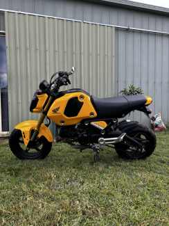 Gumtree deals honda grom