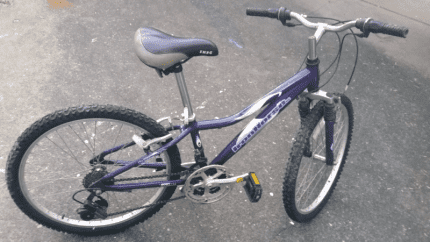 iron horse bmx bikes price