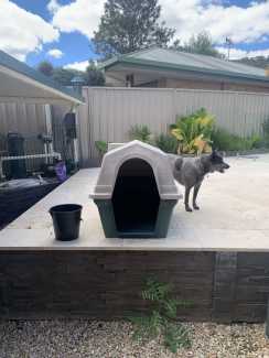 Dog best sale house gumtree