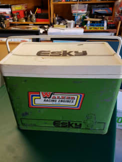 Vintage esky sales for sale