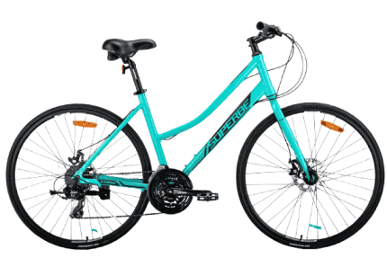 ladies hybrid bike 19 inch frame