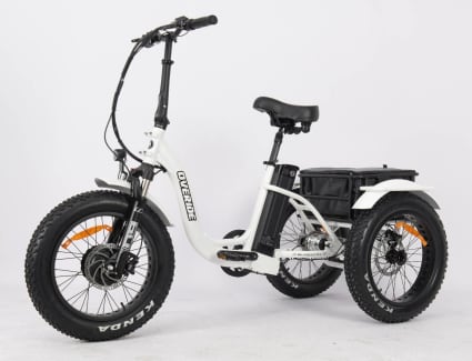 Whipper trike online