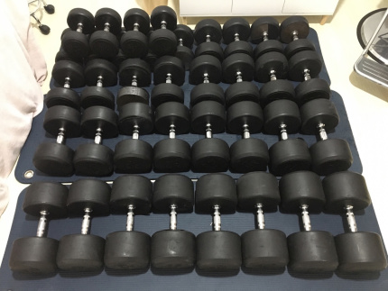 Gumtree dumbbells discount