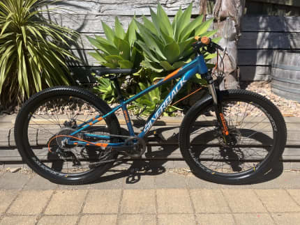 Second hand best sale silverback mountain bike