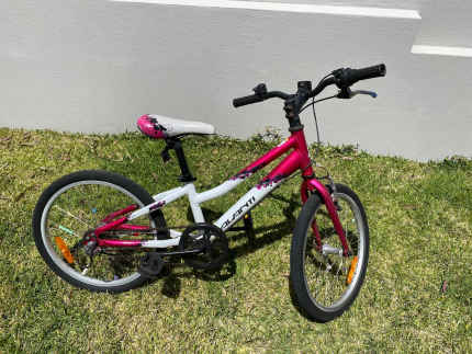 gumtree 20 inch bike