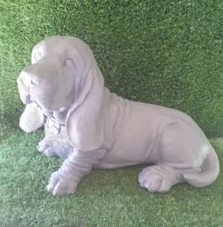 Basset hound puppies for best sale sale gumtree