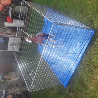 Gumtree best sale pet enclosure