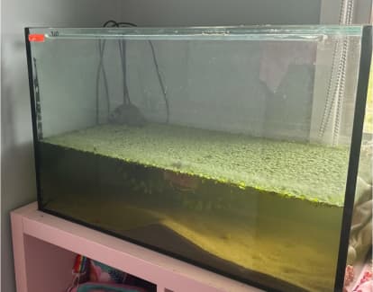 fish tank in Brisbane North West, QLD, Pet Products