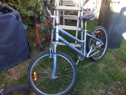 cruiser bike in South Australia  Gumtree Australia Free Local