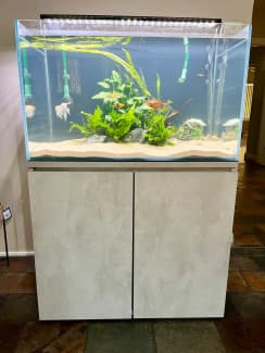 Aquarium lights cheap australia