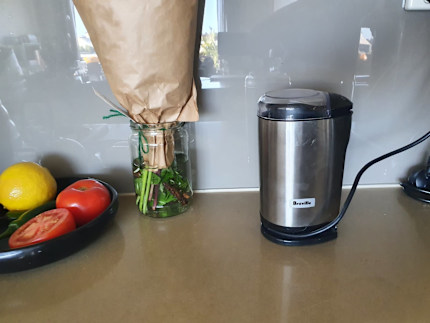 breville coffee and spice grinder cg2b