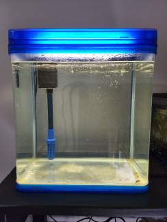 fish tank in Epping 2121 NSW Pet Products Gumtree Australia