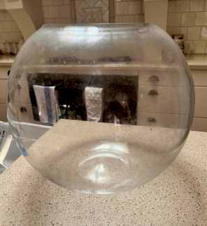 Glass bowl fish tank
