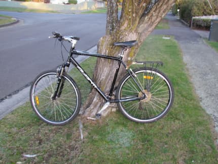 avanti pioneer bike