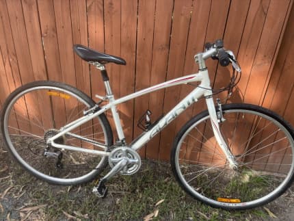 Flat bar store road bike gumtree