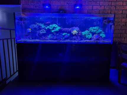 aquarium glass lid, Gumtree Australia Free Local Classifieds