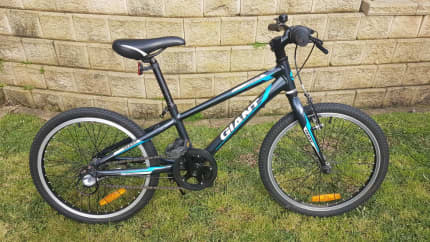 gumtree 20 inch bike