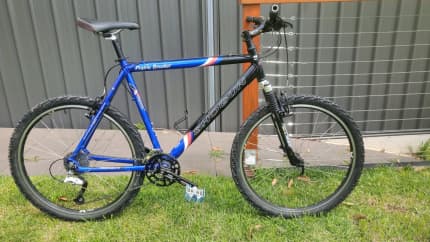 retro mountain bike for sale