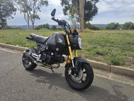 Gumtree honda clearance grom