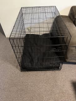 kitten cage kmart