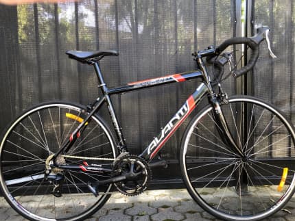 Avanti sprint road online bike price