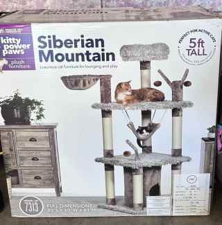 siberian mountain for cat