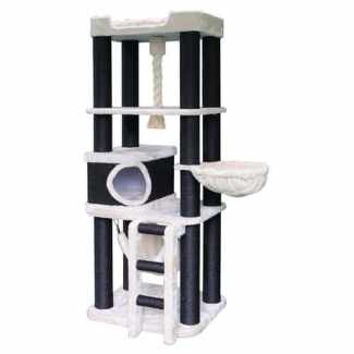 cat tree in New South Wales Pet Products Gumtree Australia Free Local Classifieds