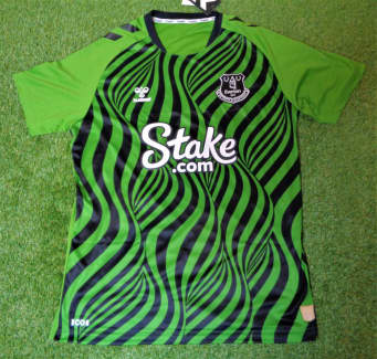 Premier League Everton Goalkeeper Jersey Shirt Green 2022-23 for Men