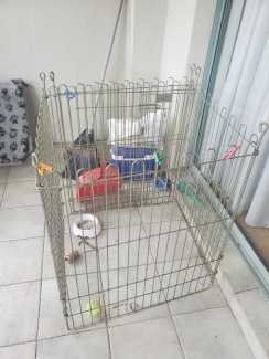 dog pens for sale Pet Products Gumtree Australia Free Local Classifieds