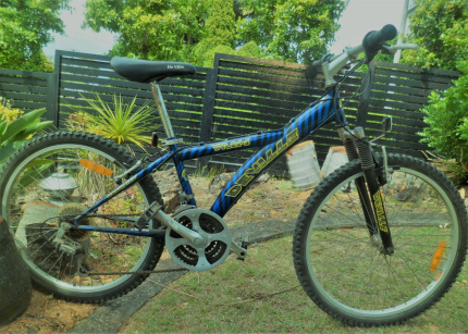 Used mountain bike prices sale