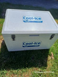 Waeco cool best sale ice esky