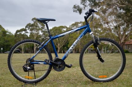 Malvern star best sale octane mountain bike