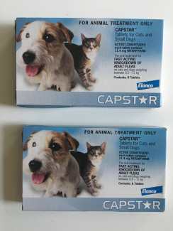 Capstar flea treatment For Small Dogs And Cats 0.5-11kg 6